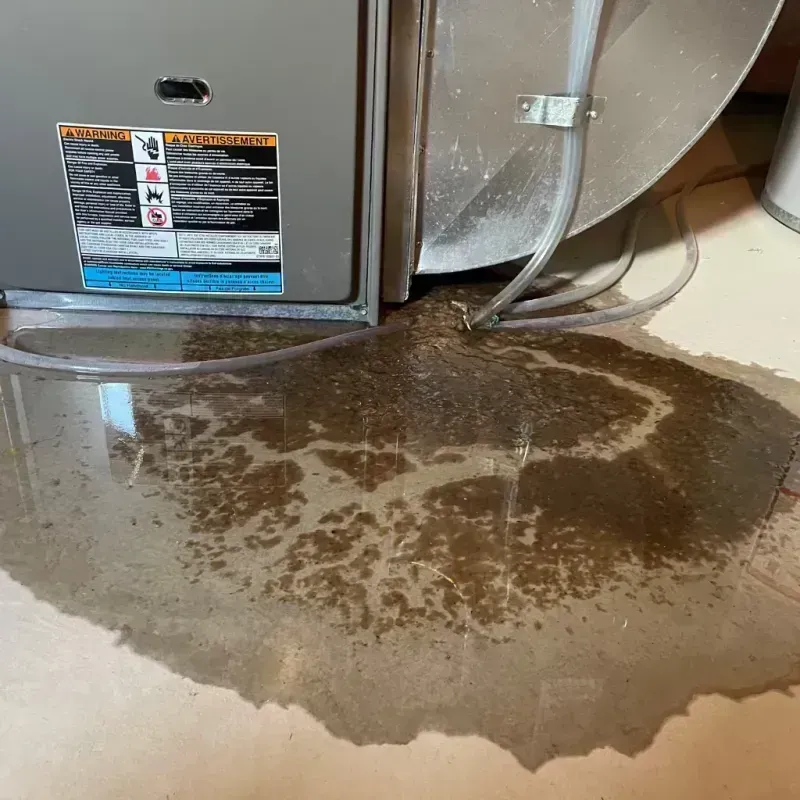 Appliance Leak Cleanup in Forest Lake, IL